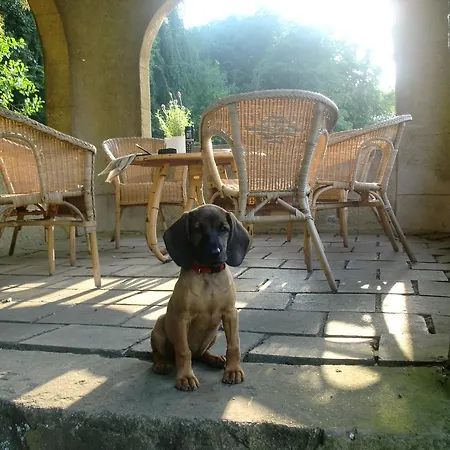 Szálloda Jagdschloss-bellin Bellin