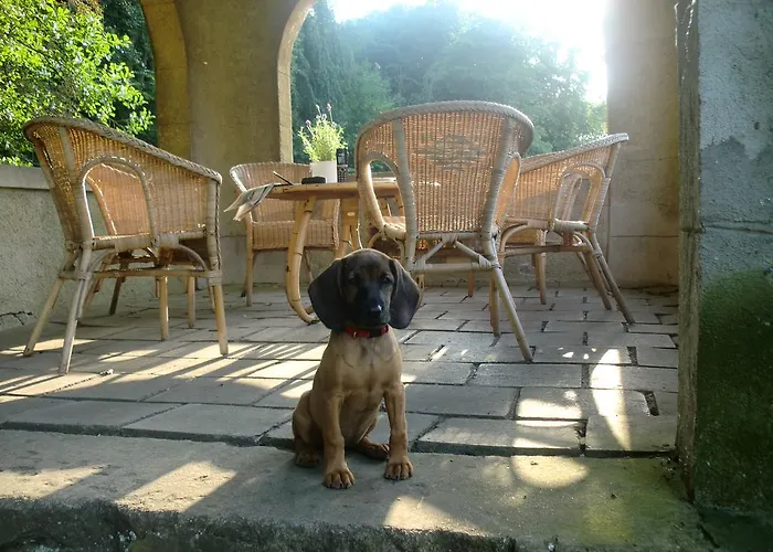 فندق Jagdschloss-bellin Bellin (Gustrow)